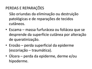 PERDAS E REPARAÇÕES
São oriundas da eliminação ou destruição
patológicas e de reparações de tecidos
cutâneos.
• Escama – massa furfurácea ou foliácea que se
desprende da superfície cutânea por alteração
de queratinização.
• Erosão – perda superficial da epiderme
(escoriação – traumática).
• Úlcera – perda da epiderme, derme e/ou
hipoderme.
 