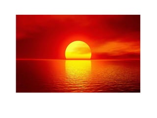 Lesões Fundamentais da Pele