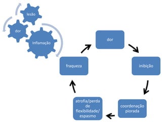 Inflamação
dor
lesão
dor
inibição
coordenação
piorada
atrofia/perda
de
flexibilidade/
espasmo
fraqueza
 
