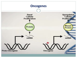 Oncogenes
 
