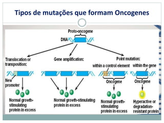Tipos de mutações que formam Oncogenes
 