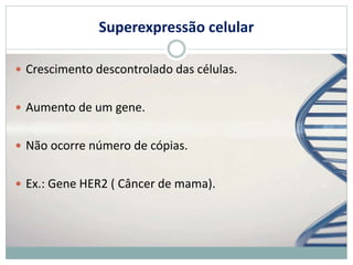 Superexpressão celular
 Crescimento descontrolado das células.
 Aumento de um gene.
 Não ocorre número de cópias.
 Ex.: Gene HER2 ( Câncer de mama).
 