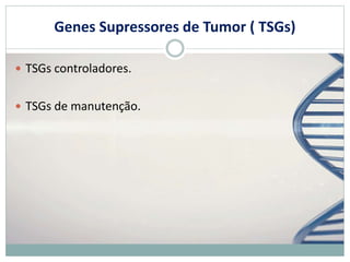 Genes Supressores de Tumor ( TSGs)
 TSGs controladores.
 TSGs de manutenção.
 