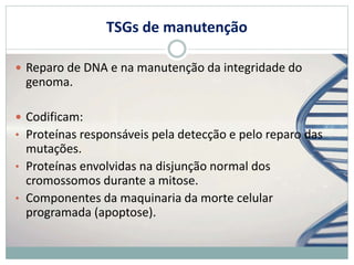 TSGs de manutenção
 Reparo de DNA e na manutenção da integridade do
genoma.
 Codificam:
• Proteínas responsáveis pela detecção e pelo reparo das
mutações.
• Proteínas envolvidas na disjunção normal dos
cromossomos durante a mitose.
• Componentes da maquinaria da morte celular
programada (apoptose).
 