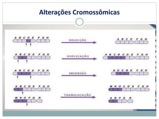 Alterações Cromossômicas
 