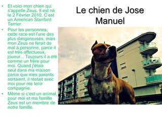 • Et voici mon chien qui
  s'appelle Zeus. Il est né
  le 2 Février 2010. C’est
                                Le chien de Jose
  un American Stanford
  Terrier.                          Manuel
• Pour les personnes,
  cette race est l'une des
  plus dangereuses, mais
  mon Zeus ne ferait de
  mal à personne, parce il
  est très affectueux,
  joueur... Toujours il a été
  comme un frère pour
  moi. Quand j'étais
  seul dans ma maison
  parce que mes parents
  sortaient, il restait avec
  moi pour me tenir
  compagnie.
• Même si c’est un animal,
  pour moi et ma famille
  Zeus est un membre de
  notre famille.
 