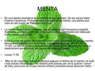 MENTAÉs una planta aromàtica de la família de les labiades. De les seves fulles s’extreu l’essència. Probablement una varietat de menta, una planta que creix en els pujols de Palestina fins avui.La menta dissimulava L'Halitosi, que es produïa per l'excessiva ingestió d'aliments aromàtics com alls, o les que produïa infermetats tan habituals como caries o gingivitis. Estava entre els productes que delmaven meticulosament els jueus, mentre descuraven notòriament assumptes més greus de la llei (Mt. 23:23; Lc. 11:42). La Menta s'usava antigament per donar sabor als menjars i com a medicament per elimimar els gasos del sistema digestiu.Lucas.11:42“Mes ai de vosaltres, fariseos!, perquè pagueu el delme de la menta i la rude i tota classe d'hortalissa, i no obstant això passeu per alt la justícia i l'amor de Déu; però això és el que havíeu d'haver practicat sense descurar l'altre. “
