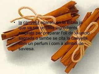 lacanyella apareix en la Bíblia ja que va ser un dels ingredients emprats per preparar l'oli de la unció sagrada o tambe se cita la canyella com un perfum i com a símbol de saviesa.