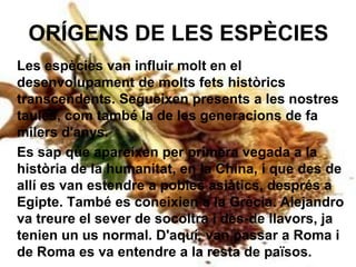 ORÍGENS DE LES ESPÈCIESLes espècies van influir molt en el desenvolupament de molts fets històrics transcendents. Segueixen presents a les nostres taules, com també la de les generacions de fa milers d'anys. 	Es sap que apareixen per primera vegada a la història de la humanitat, en la China, i que des de allí es van estendre a pobles asiàtics, després a Egipte. També es coneixien a la Grècia. Alejandro va treure el sever de socoltra i des-de llavors, ja tenien un us normal. D'aquí, van passar a Roma i de Roma es va entendre a la resta de països.