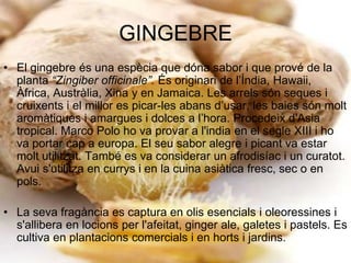 GINGEBREEl gingebre és una espècia que dóna sabor i que prové de la planta “Zingiber officinale”. És originari de l’Índia, Hawaii, Àfrica, Austràlia, Xina y en Jamaica. Les arrels són seques i cruixents i el millor es picar-les abans d’usar, les baies són molt aromàtiques i amargues i dolces a l’hora. Procedeix d'Asia tropical. Marco Polo ho va provar a l'india en el segle XIII i ho va portar cap a europa. El seu sabor alegre i picant va estar molt utilitzat. També es va considerar un afrodisíac i un curatot. Avui s'utilitza en currys i en la cuina asiàtica fresc, sec o en pols. La seva fragància es captura en olis esencials i oleoressines i s'allibera en locions per l'afeitat, ginger ale, galetes i pastels. Es cultiva en plantacions comercials i en horts i jardins.