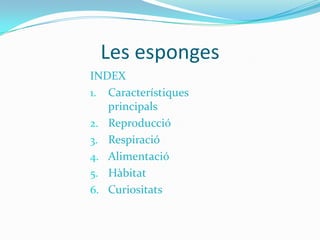 Les esponges
INDEX
1. Característiques
principals
2. Reproducció
3. Respiració
4. Alimentació
5. Hàbitat
6. Curiositats

 