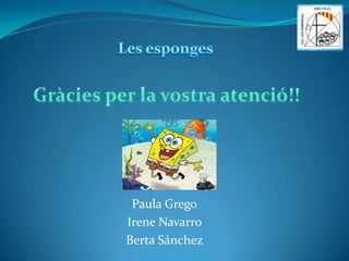 Paula Grego
Irene Navarro
Berta Sánchez

 