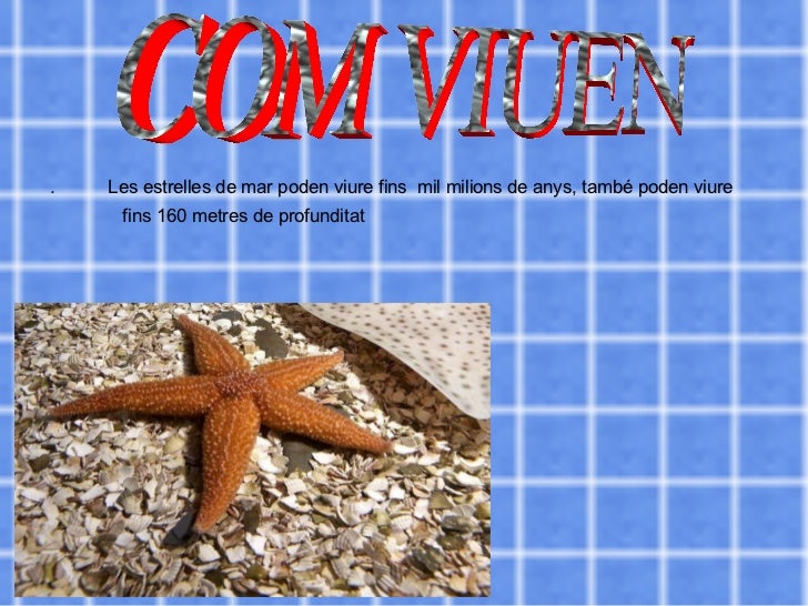 Com Respiren Les Estrelles De Mar