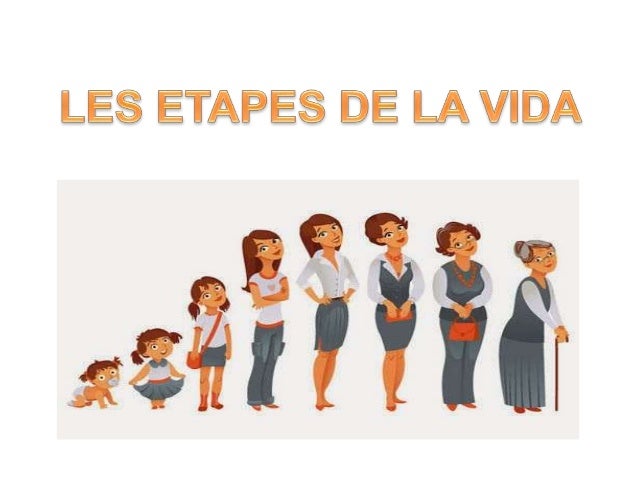 Les etapes de la vida