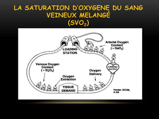 LA SATURATION D’OXYGENE DU SANG
VEINEUX MELANGÉ
(SVO2)
 