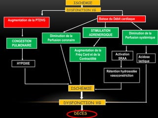 ISCHEMIE
DYSFONCTION VG
Diminution de la
Perfusion systémique
Acidose
lactique
STIMULATION
ADRENERGIQUE
Augmentation de la
Fréq Card et de la
Contractilité
Diminution de la
Perfusion coronaireCONGESTION
PULMONAIRE
HYPOXIE
ISCHEMIE
DYSFONCTION VG
DECES
Activation
SRAA
Rétention hydrosodée
vasoconstriction
Augmentation de la PTDVG Baisse du Débit cardiaque
 