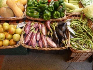 Les excursions d'en Woody