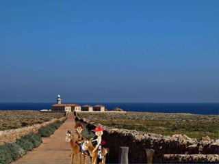 Les excursions d'en Woody