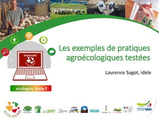 1
Les exemples de pratiques
agroécologiques testées
Laurence Sagot, idele
 