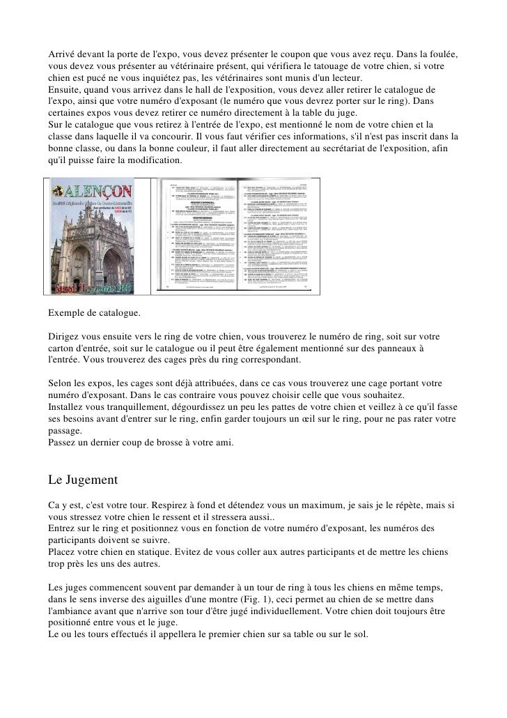 Les expositions canines Les expositions canines