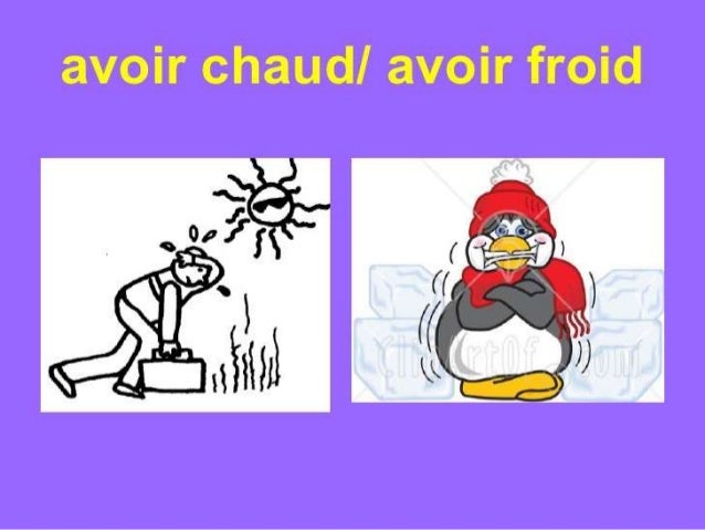 Les Expressions Avec Avoir