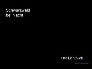 Schwarzwald  bei Nacht Der Lichtblick 