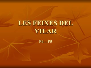 LES FEIXES DEL
VILAR
P4 – P5
 