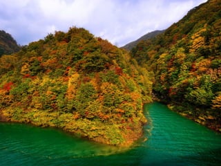 Les feuilles mortes j.jackson& d.serero