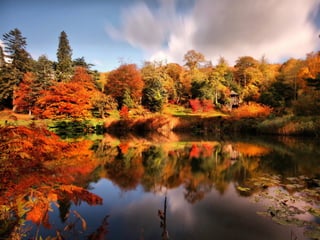 Les feuilles mortes j.jackson& d.serero