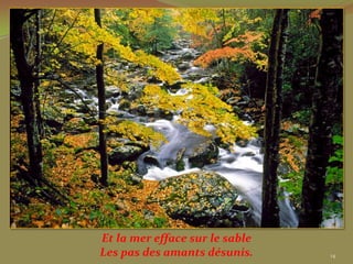 Et la mer efface sur le sable
Les pas des amants désunis.     14
 