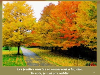 Les feuilles mortes se ramassent à la pelle.
         Tu vois, je n’ai pas oublié.          26
 