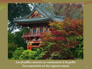 Les feuilles mortes se ramassent à la pelle.
     Les souvenirs et les regrets aussi.       27
 