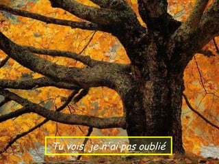 Tu vois, je n'ai pas oublié
 