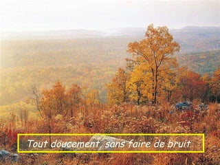 Tout doucement, sans faire de bruit
 