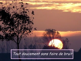 Tout doucement sans faire de bruit
 