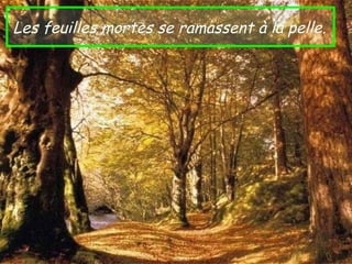 Les feuilles mortes se ramassent à la pelle.
 