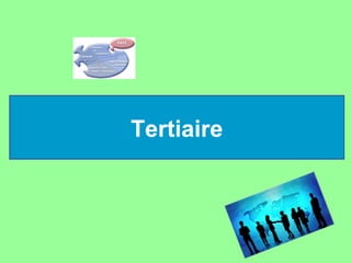 Tertiaire
 