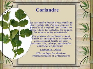 La coriandre fraîche ressemble au
persil plat; elle s'utilise comme le
persil et le cerfeuil. En Orient, on
la met dans les salades, les soupes,
les sauces et les sandwichs.
Les graines de coriandre, dont
l'odeur est musquée et citronnée,
assaisonnent fruits de mer,
poissons, riz, currys, marinades,
chutneys et gâteaux.
Calmante - Huile
Elle soulage les douleurs
rhumatismales et articulaires
Coriandre
 