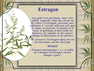 Son goût très parfumé, mais très
subtil, rappelle celui du citron ou
de l’anis. L’estragon convient aux
aliments à saveur délicate tels que
les œufs, le poisson, le poulet et le
veau. Il parfume à merveille les
beurres, les salades et les sauces
comme la béarnaise et la tartare.
On conserve l’estragon dans un sac
de plastique, au bas du frigo
Bienfait
Tonique énergétique ( 1 c. à table
de vinaigre d'estragon avant
chaque repas)
Estragon
 