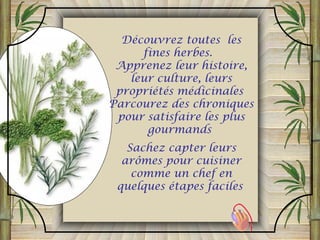 Découvrez toutes les
fines herbes.
Apprenez leur histoire,
leur culture, leurs
propriétés médicinales
Parcourez des chroniques
pour satisfaire les plus
gourmands
Sachez capter leurs
arômes pour cuisiner
comme un chef en
quelques étapes faciles
 