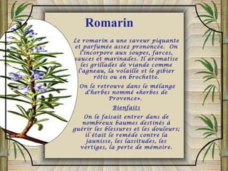 Le romarin a une saveur piquante
et parfumée assez prononcée. On
l'incorpore aux soupes, farces,
sauces et marinades. Il aromatise
les grillades de viande comme
l'agneau, la volaille et le gibier
rôtis ou en brochette.
On le retrouve dans le mélange
d'herbes nommé «herbes de
Provence».
Bienfaits
On le faisait entrer dans de
nombreux baumes destinés à
guérir les blessures et les douleurs;
il était le remède contre la
jaunisse, les lassitudes, les
vertiges, la perte de mémoire.
Romarin
 