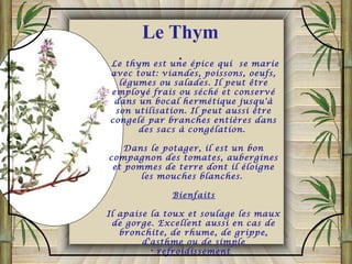 Le thym est une épice qui se marie
avec tout: viandes, poissons, oeufs,
légumes ou salades. Il peut être
employé frais ou séché et conservé
dans un bocal hermétique jusqu'à
son utilisation. Il peut aussi être
congelé par branches entières dans
des sacs à congélation.
Dans le potager, il est un bon
compagnon des tomates, aubergines
et pommes de terre dont il éloigne
les mouches blanches.
Bienfaits
Il apaise la toux et soulage les maux
de gorge. Excellent aussi en cas de
bronchite, de rhume, de grippe,
d'asthme ou de simple
refroidissement
.
.
Le Thym
 