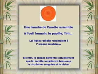 Une tranche de Carotte ressemble
à l’oeil humain, la pupille, l’iris...
Les lignes radiales ressemblent à
l’ organe occulaire...
Et enfin, la science démontre actuellement
que les carottes améliorent beaucoup
la circulation sanguine et la vision.
 