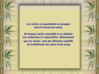 Les raisins se suspendent en grappes
avec la forme du coeur.
Et chaque raisin ressemble à un globule.
Les recherches d’ aujourd’hui démontrent
que les raisins sont des aliments nutritifs
et revitalisants du coeur et du sang.
 