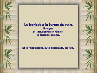 Le haricot a la forme du rein.
Il soigne
et sauvegarde en réalite
la fonction reinale.
Et ils ressemblent, avec exactitude, au rein.
 