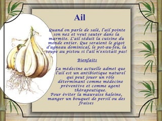 Quand on parle de salé, l’ail pointe
son nez et veut sauter dans la
marmite. L'ail séduit la cuisine du
monde entier. Que seraient le gigot
d'agneau dominical, le pot-au-feu, la
soupe au pistou si l'ail n'existait pas!
Bienfaits
La médecine actuelle admet que
l'ail est un antibiotique naturel
qui peut jouer un rôle
déterminant comme médecine
préventive et comme agent
thérapeutique.
Pour éviter la mauvaise haleine,
manger un bouquet de persil ou des
fraises
Ail
 