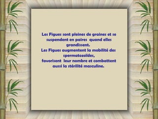 Les Figues sont pleines de graines et se
suspendent en paires quand elles
grandissent. 
Les Figues augmentent la mobilité des
spermatozoïdes,
favorisent leur nombre et combattent
aussi la stérilité masculine.
 