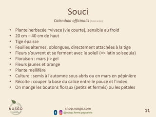 shop.nusgo.com
@nusgo.ferme.paysanne
Souci
Calendula officinalis [Asteracées]
• Plante herbacée ~vivace (vie courte), sensible au froid
• 20 cm – 40 cm de haut
• Tige épaisse
• Feuilles alternes, oblongues, directement attachées à la tige
• Fleurs s’ouvrent et se ferment avec le soleil (=> latin solsequia)
• Floraison : mars j-> gel
• Fleurs jaunes et orange
• Plante mellifère
• Culture : semis à l’automne sous abris ou en mars en pépinière
• Récolte : couper la base du calice entre le pouce et l’index
• On mange les boutons floraux (petits et fermés) ou les pétales
11
 