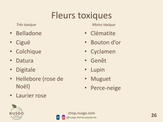 shop.nusgo.com
@nusgo.ferme.paysanne
Fleurs toxiques
• Belladone
• Ciguë
• Colchique
• Datura
• Digitale
• Hellebore (rose de
Noël)
• Laurier rose
• Clématite
• Bouton d’or
• Cyclamen
• Genêt
• Lupin
• Muguet
• Perce-neige
Très toxique Moins toxique
26
 