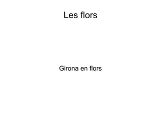Les flors Girona en flors 